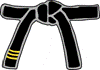 3rd Dan (Black Belt)