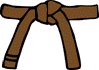 2nd  Kyu (Brown Belt)