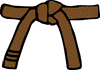 1st Kyu (Brown Belt)