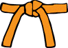 Orange Belt