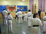 Sensei demonstrates to the class