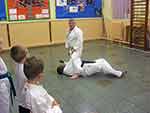 Sensei demonstrates to the class