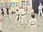 Sensei demonstrates to the class