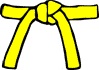Yellow Belt